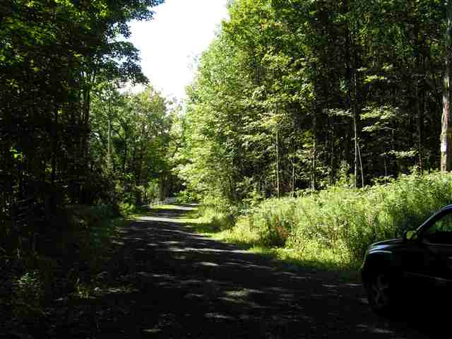 269 Lum Hill Road Decatur, NY 12197 - Photo 3 of 5 Photo 3