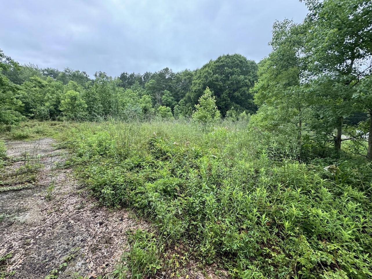 0 School Road Vidor, TX 77662 - Photo 2 of 3