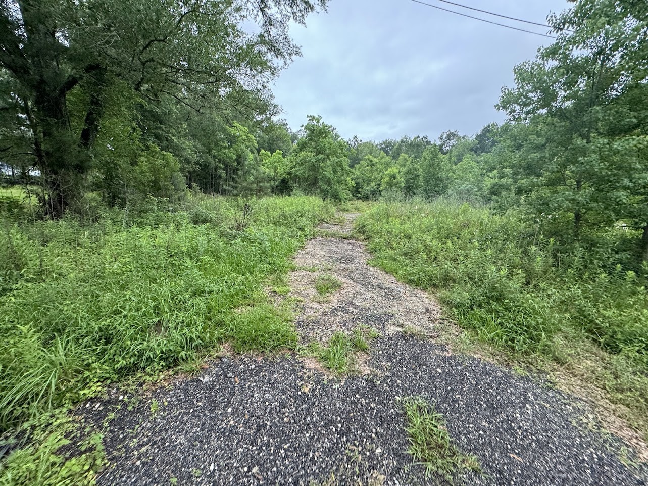 0 School Road Vidor, TX 77662 - Photo 3 of 3