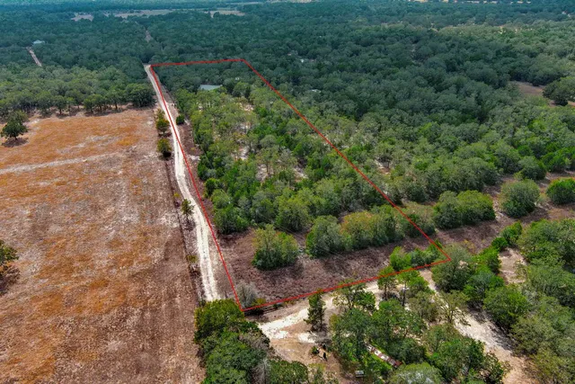 a view of a garden with a bench