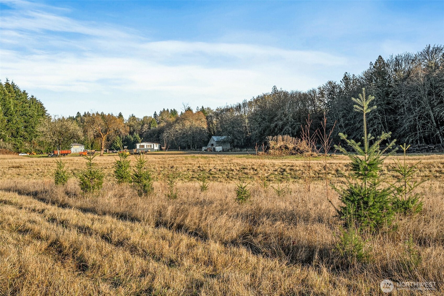 0 Collins Road Toledo, WA 98591 - Photo 20 of 25