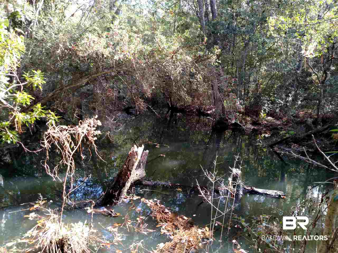 0 James Road Gulf Shores, AL 36542 - Photo 3 of 5
