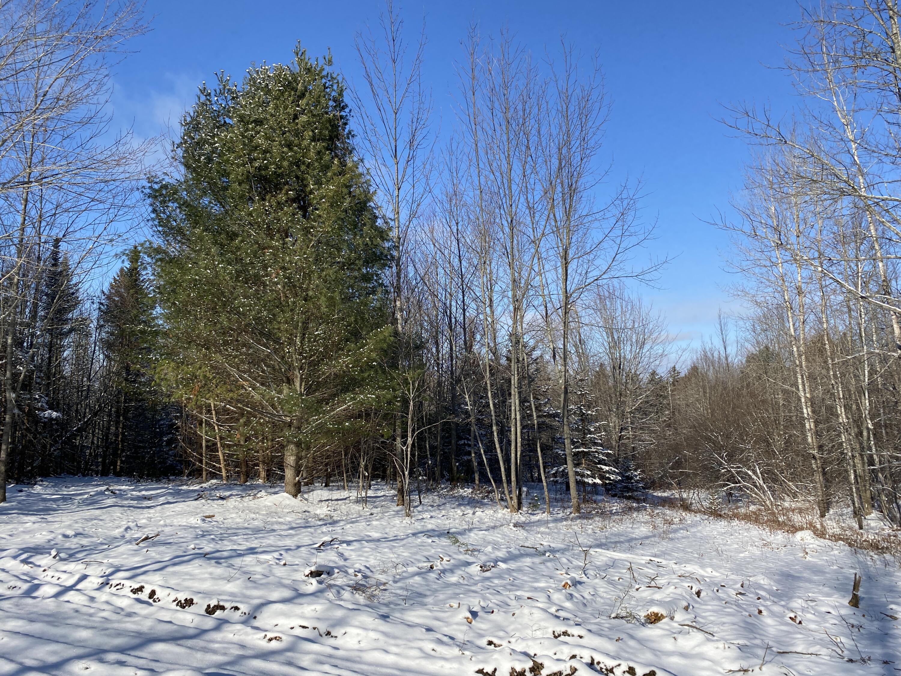 Lot 1 Coffin Road Thorndike, ME 04986 - Photo 3 of 8 IMG_3305