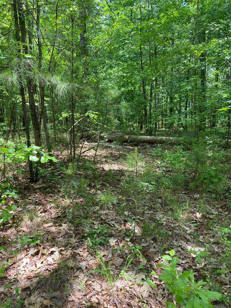 14-75 Deveraux Point McCormick, SC 29835 - Photo 4 of 6 Gallery Image 4