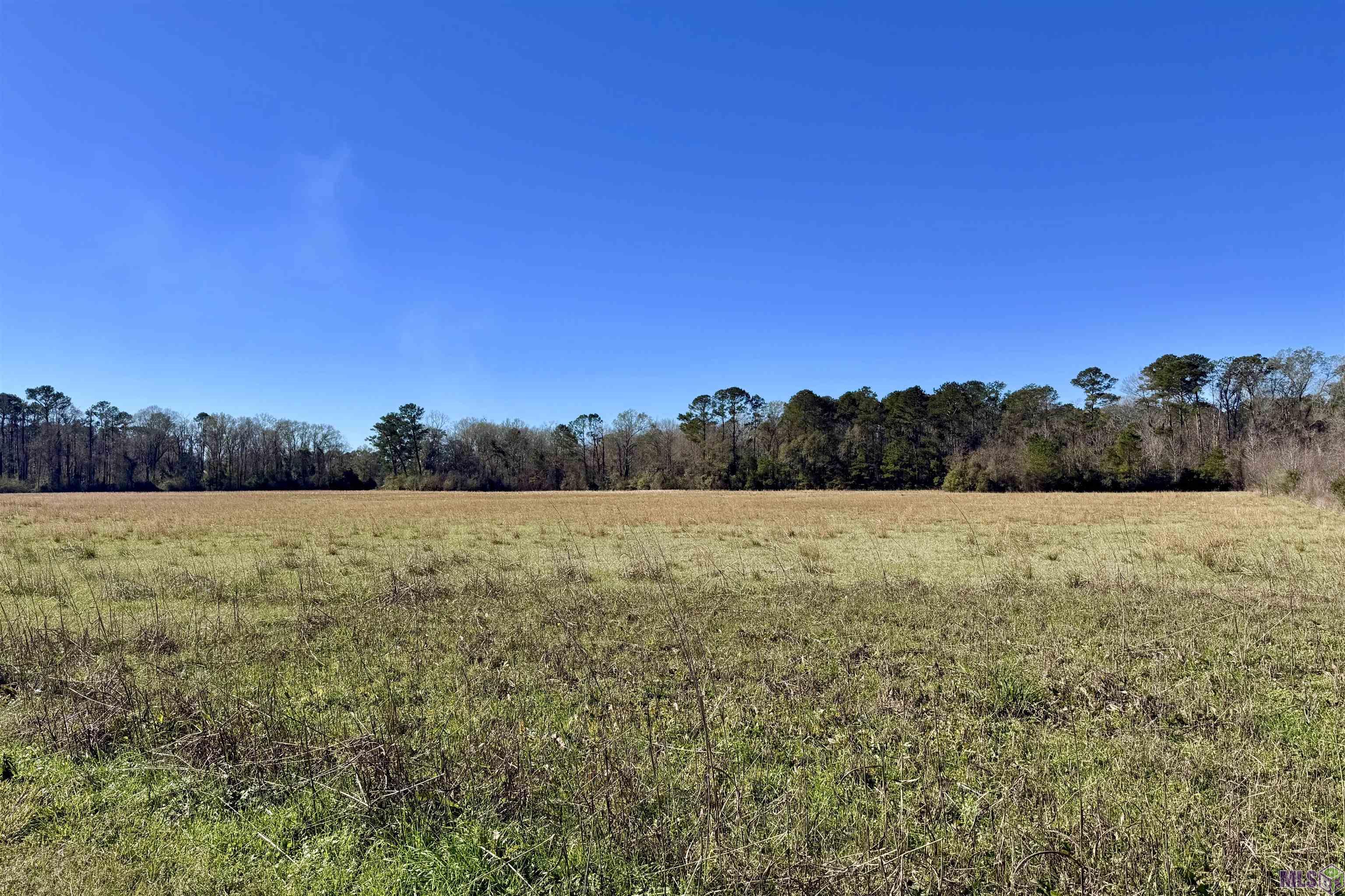 5 Old Highway Amite, LA 70422 - Photo 3 of 9