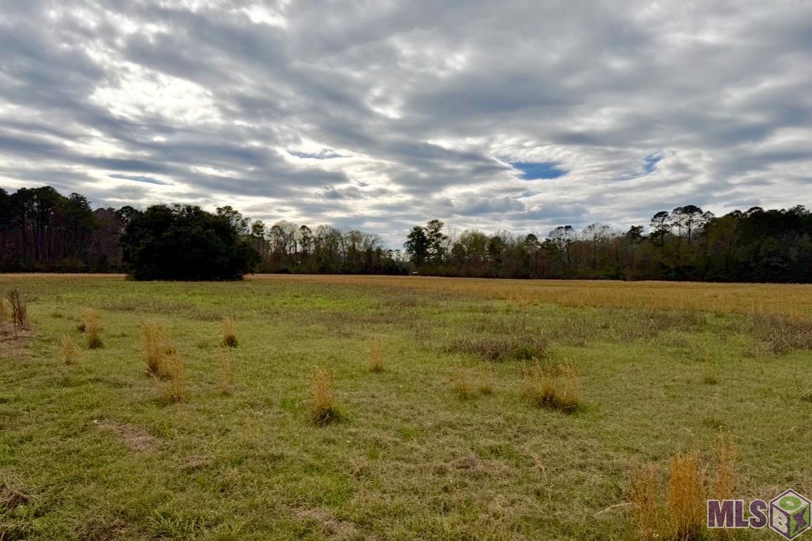 5 Old Highway Amite, LA 70422 - Photo 4 of 9