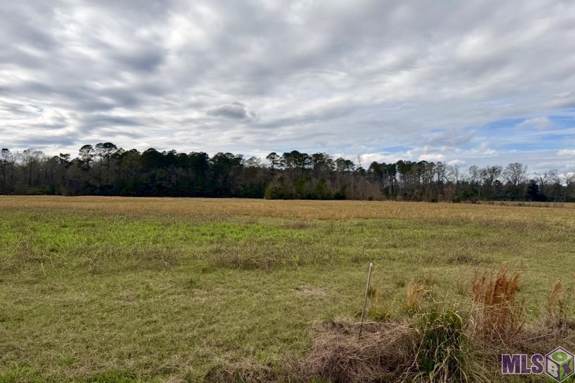 5 Old Highway Amite, LA 70422 - Photo 6 of 9