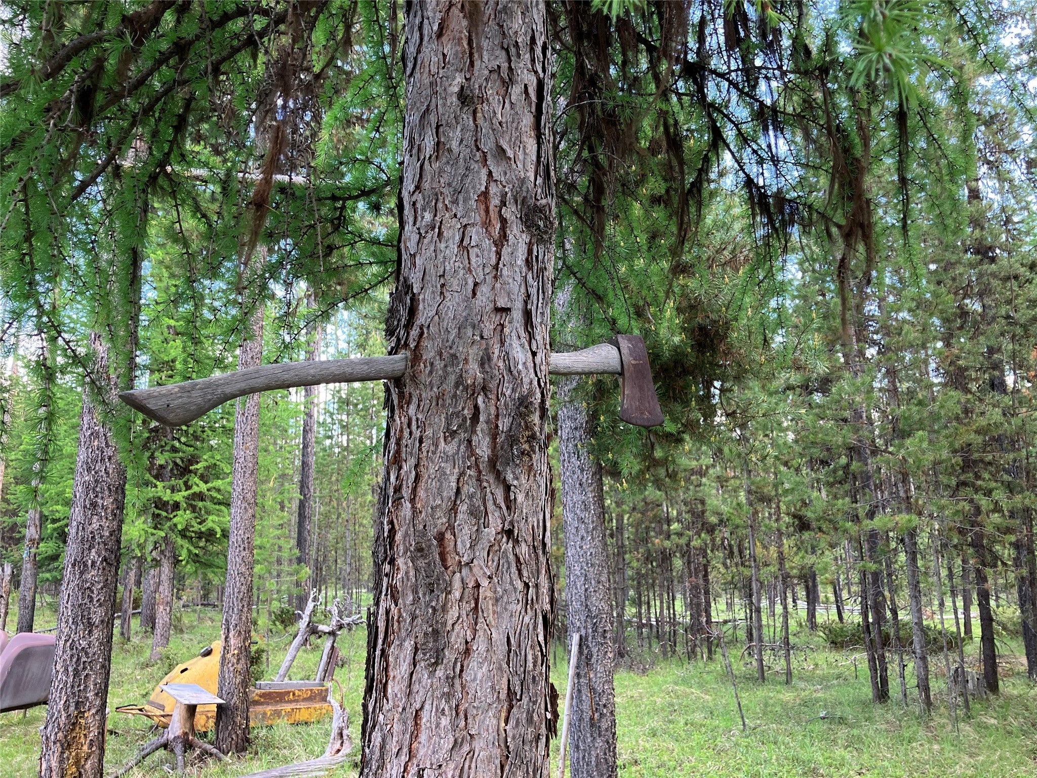 1606 North Fork Yaak Road Troy, MT 59935 - Photo 85 of 98 Gallery Image 85