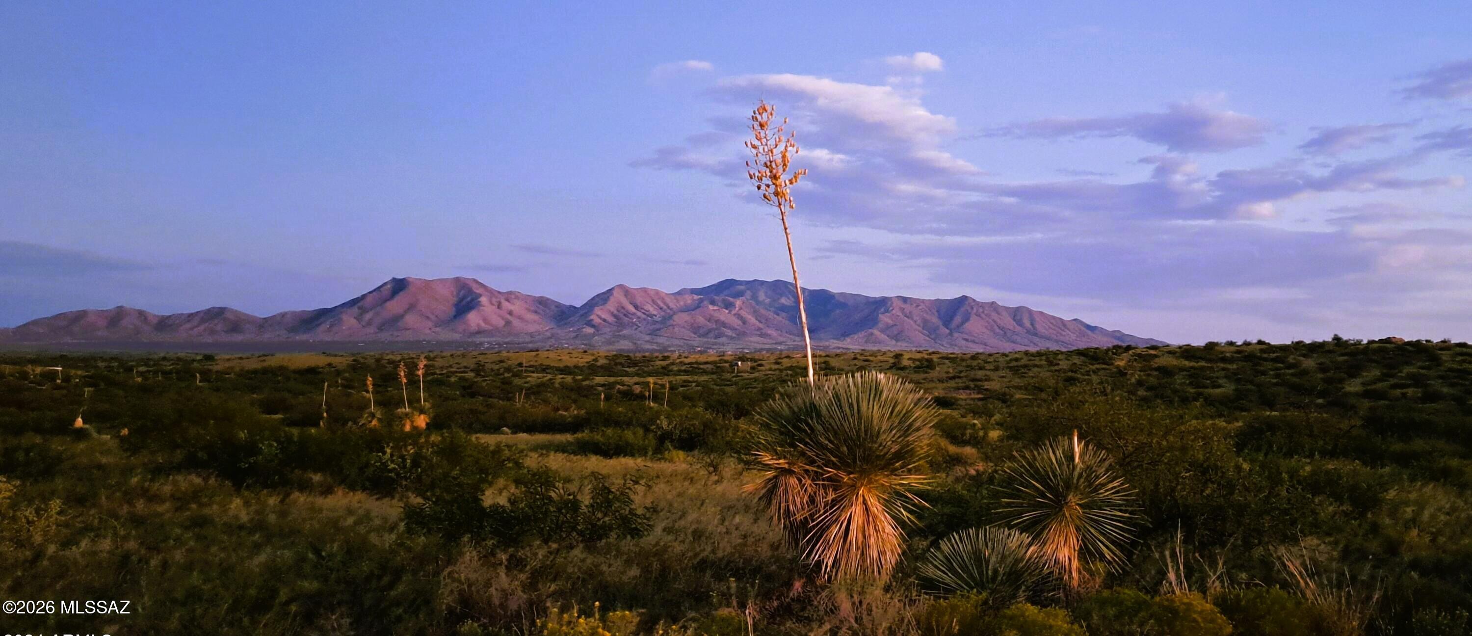 Tbd East Walker Ranch Road Dragoon, AZ 85609 - Photo 5 of 23