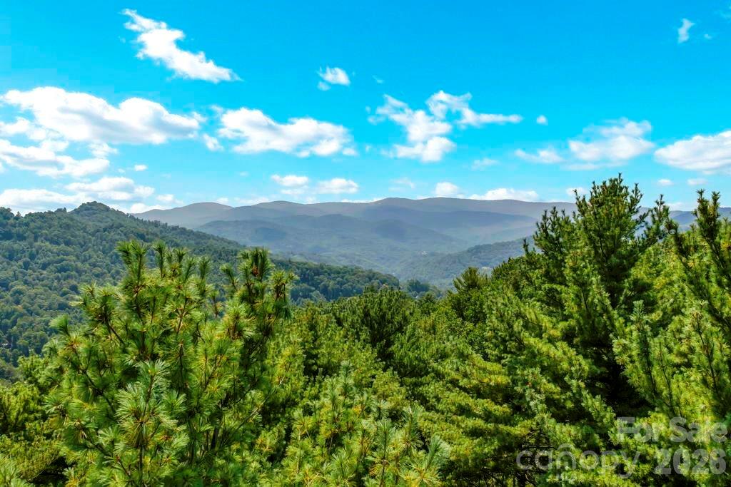 Tbd Council Ward Road Sugar Grove, NC 28679 - Photo 6 of 18 Gallery Image 6
