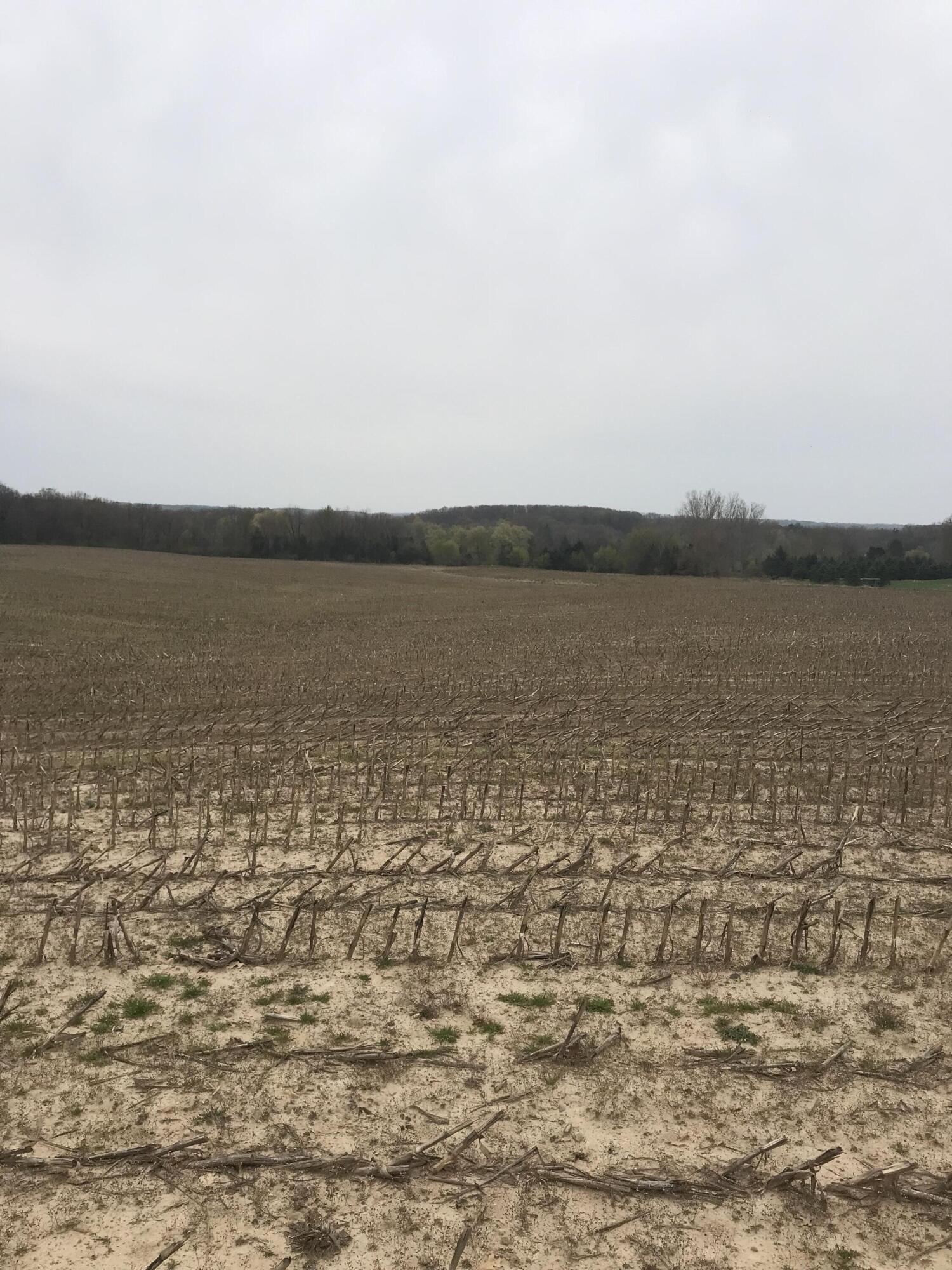Lot 4 Potters Road Ionia, MI 48846 - Photo 2 of 4 IMG_3868