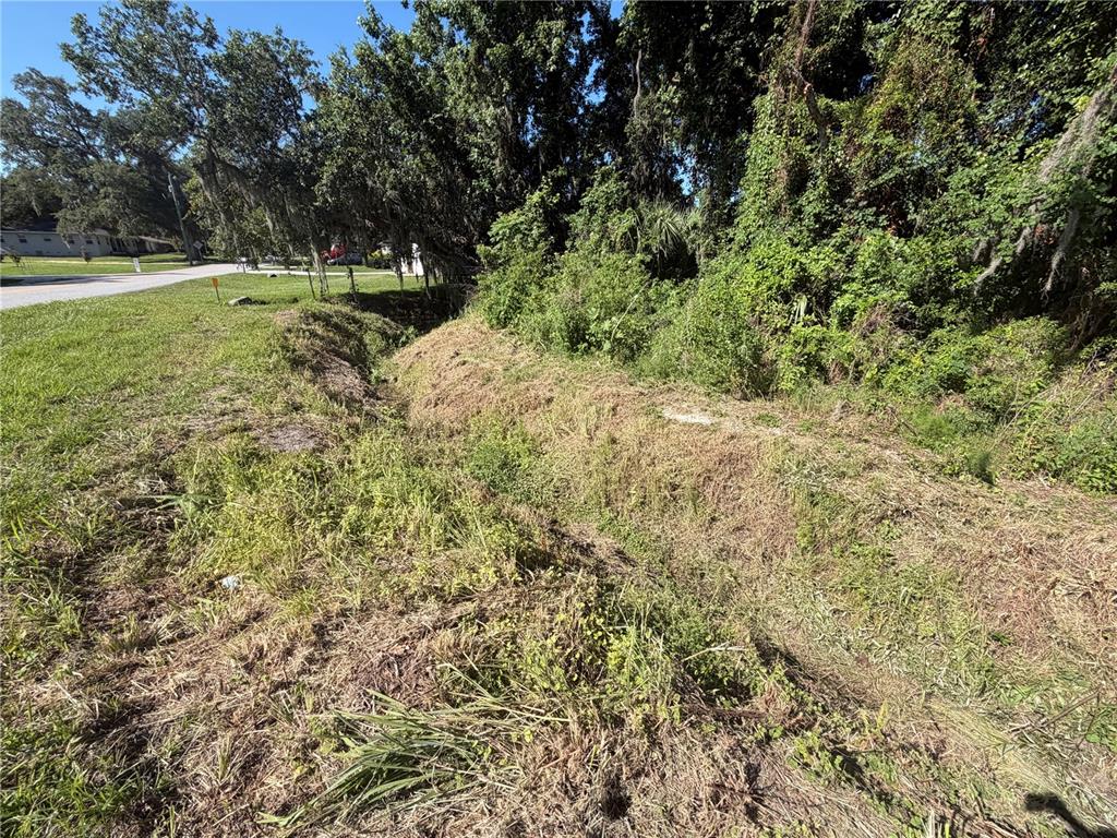 Dossey Road South Lakeland, FL 33811 - Photo 6 of 10 a view of a yard with a tree