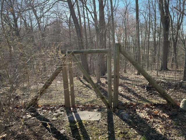 250 Maloney Road Wappingers Falls, NY 12590 - Photo 23 of 24 a view of a forest with a tree