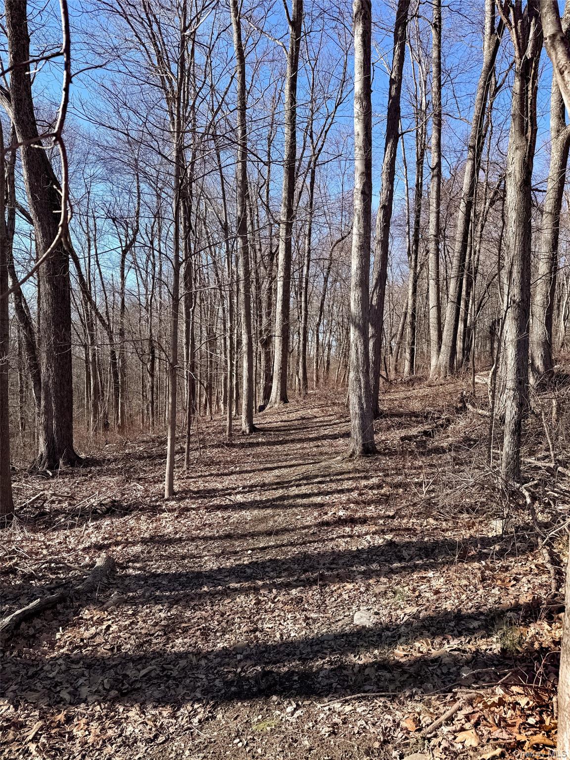 250 Maloney Road Wappingers Falls, NY 12590 - Photo 24 of 24 a view of a backyard with large trees