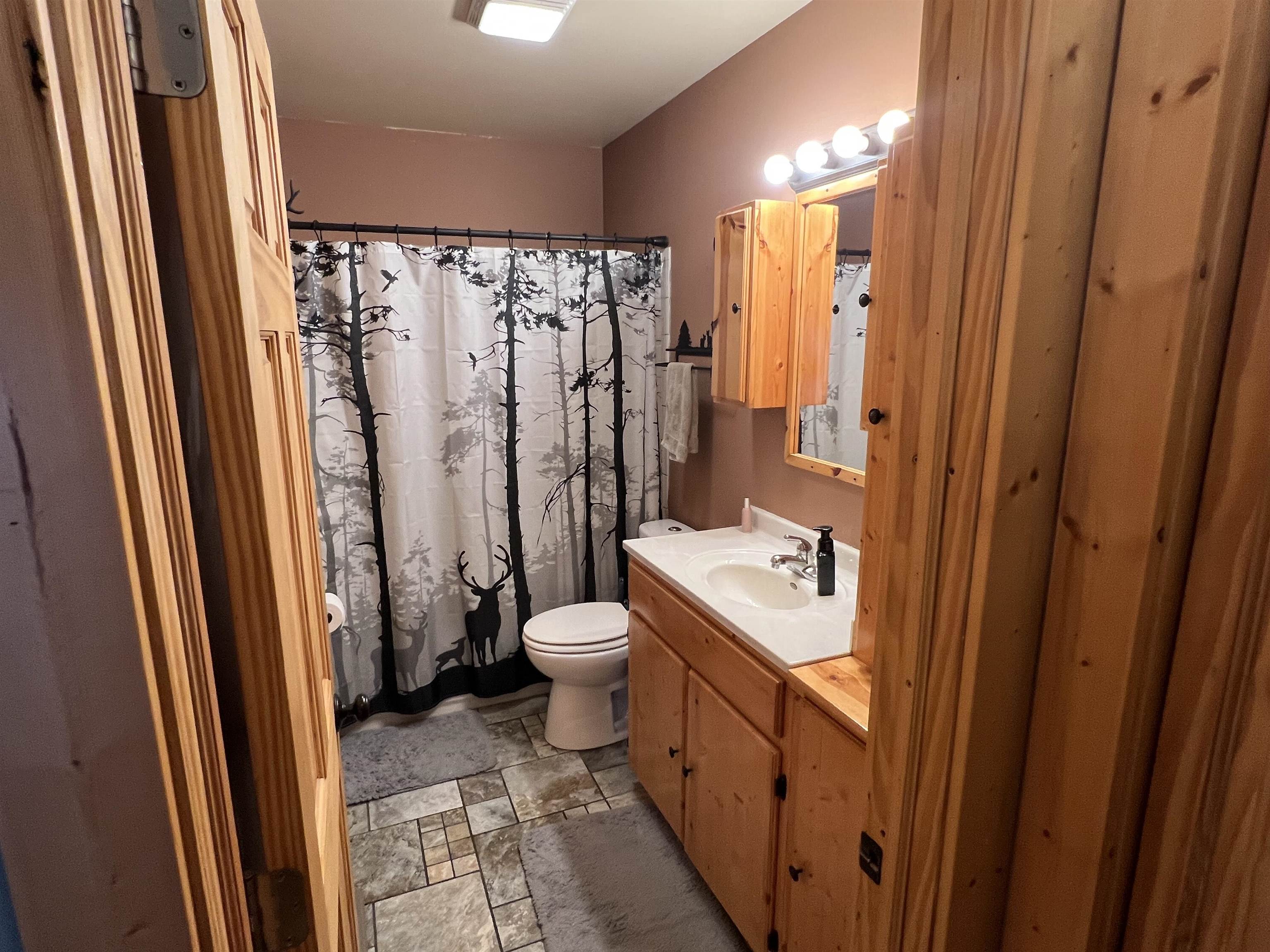 616 Cranston Road Beloit, WI 53511 - Photo 14 of 21 a bathroom with a sink a toilet a mirror and shower curtain