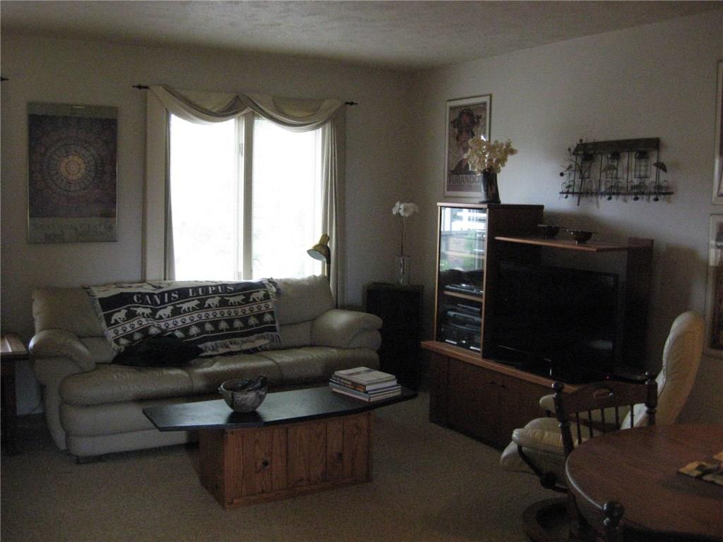 165 Shadow Ridge Drive Pittsburgh, PA 15238 - Photo 5 of 22 LIVING ROOM