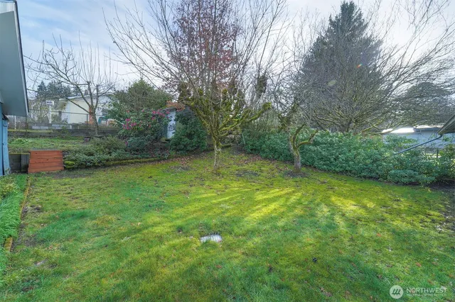 a view of a backyard with fountain plants and large trees