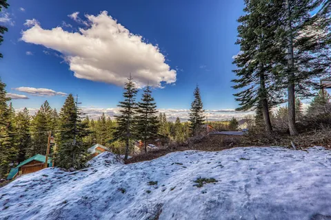 a view of a backyard with large trees