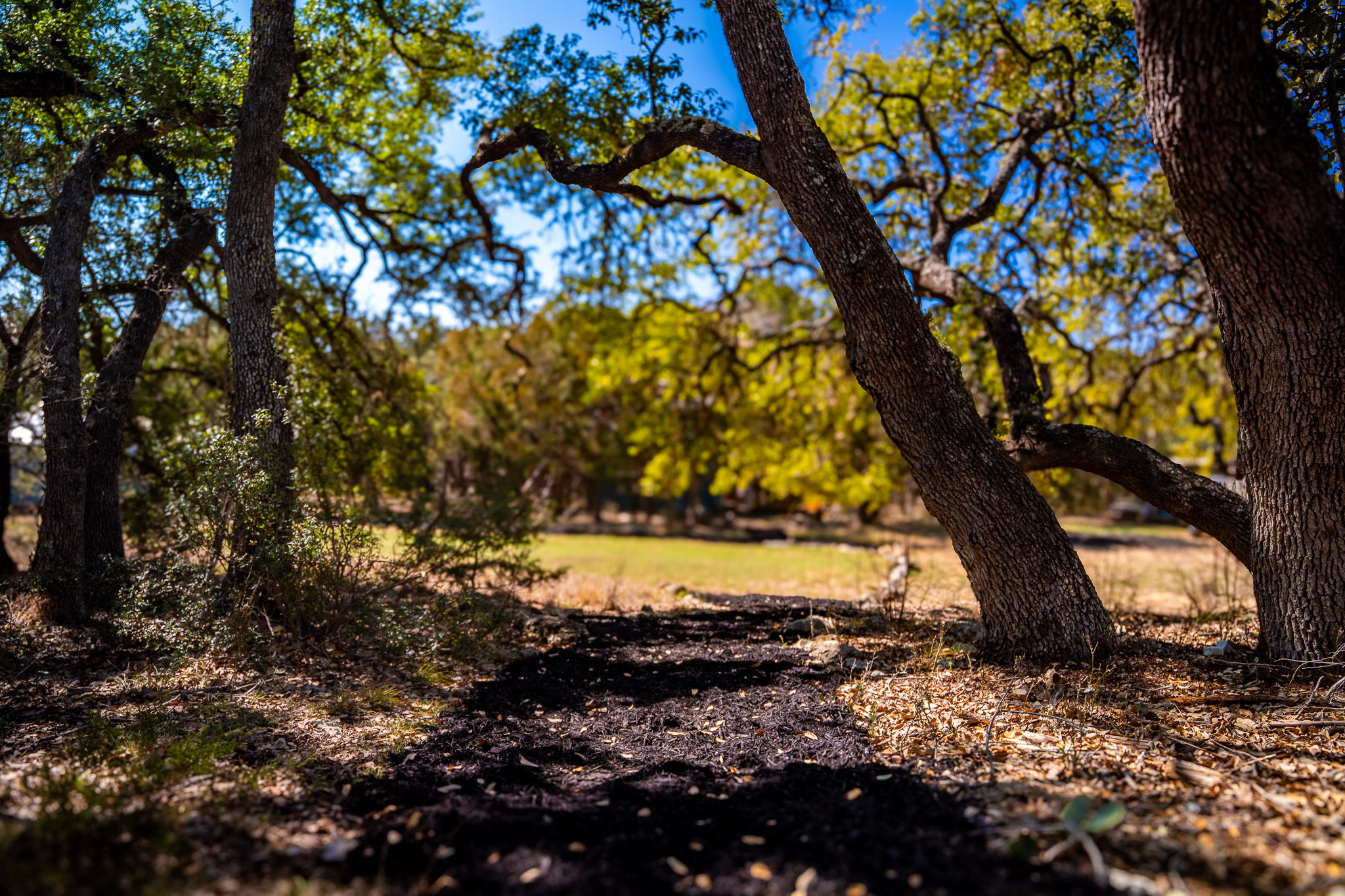 321 Lea Lane Wimberley, TX 78676 - Photo 26 of 39 View of nature