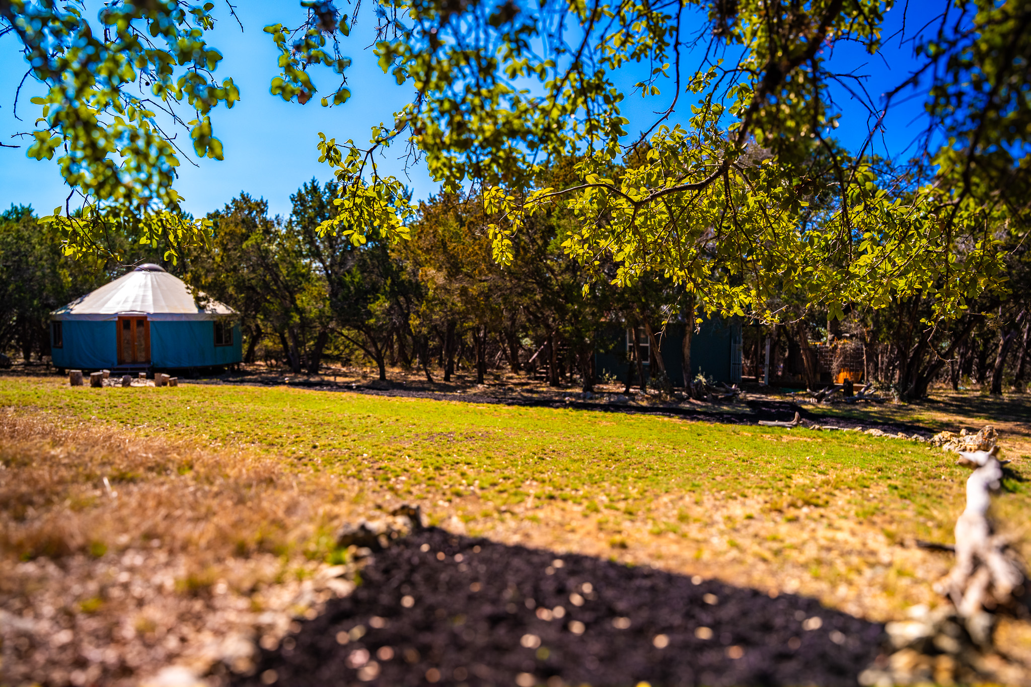 321 Lea Lane Wimberley, TX 78676 - Photo 35 of 39 View of green lawn with view of wooded area