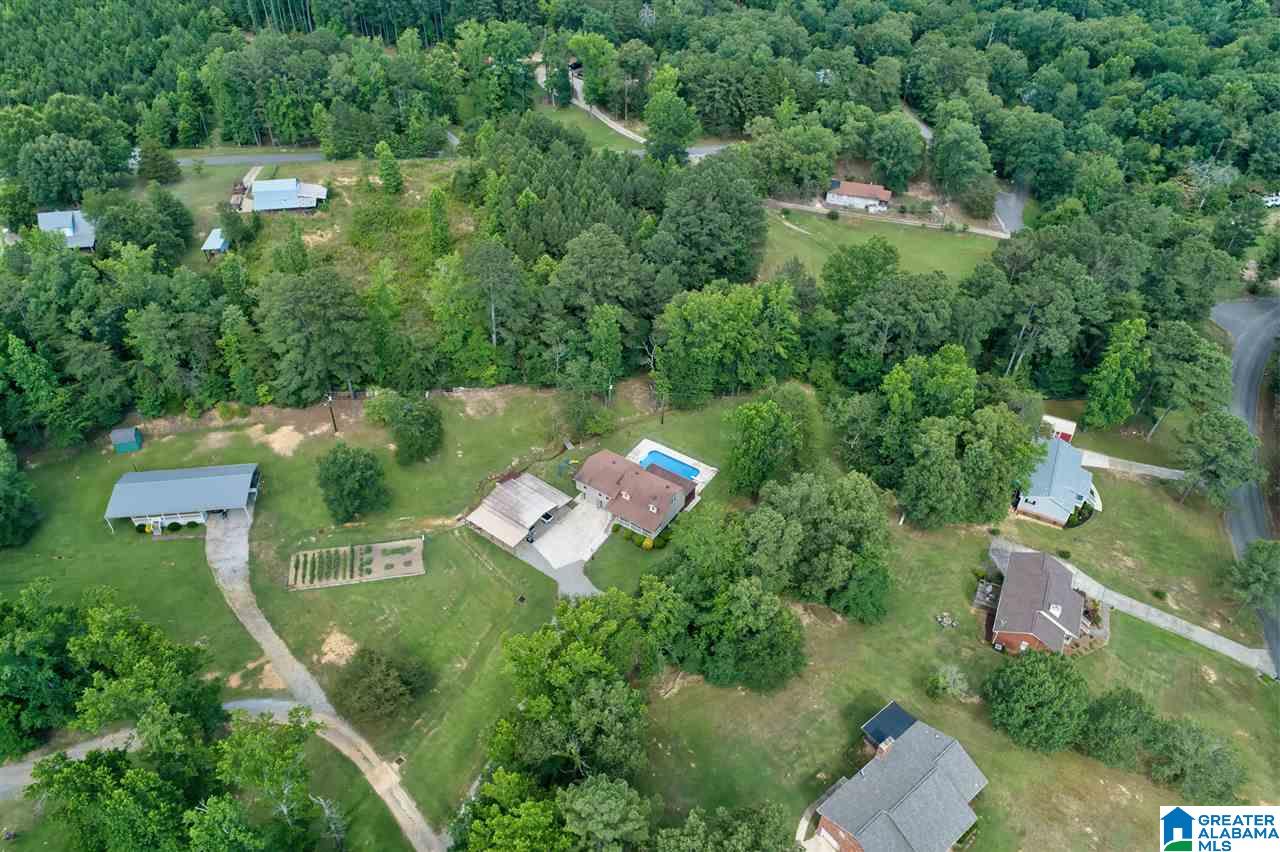 7129 Groundhog Road Morris, AL 35116 - Photo 6 of 38