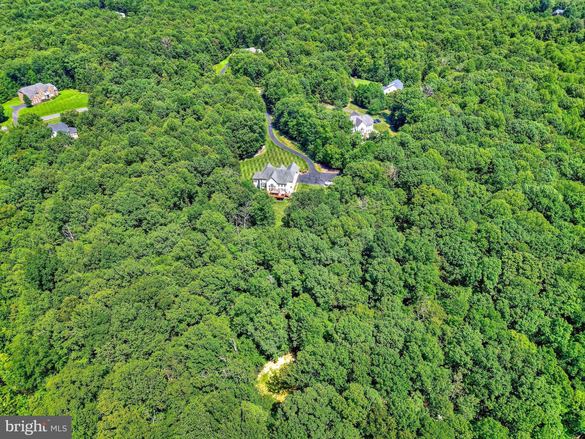 13650 Independence Ridge Nokesville, VA 20181 - Photo 96 of 98 Panoramic Drone View of Private 10-Acre Lot