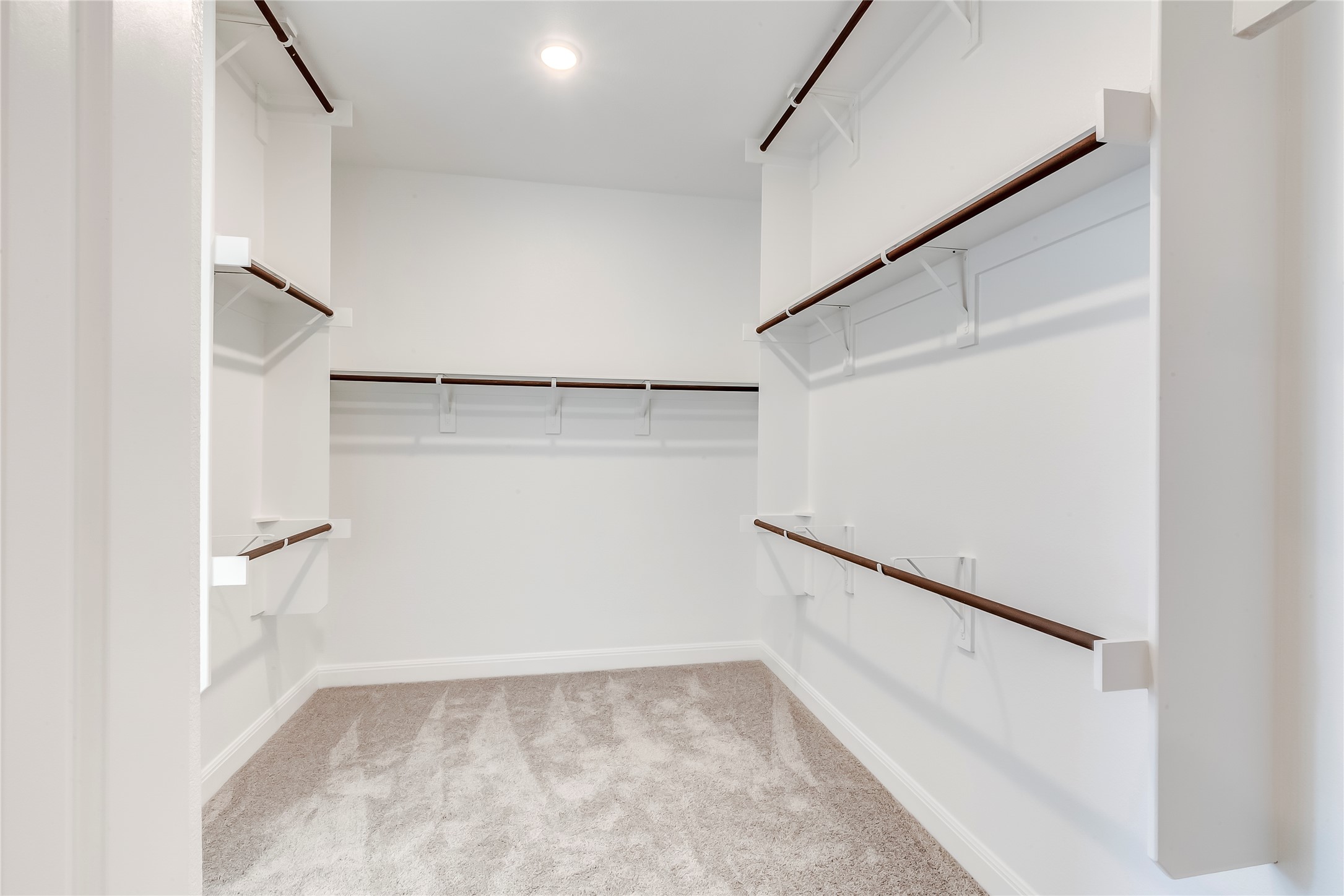920 Old Gdn Road Leander, TX 78641 - Photo 22 of 39 Walk in closet featuring light colored carpet