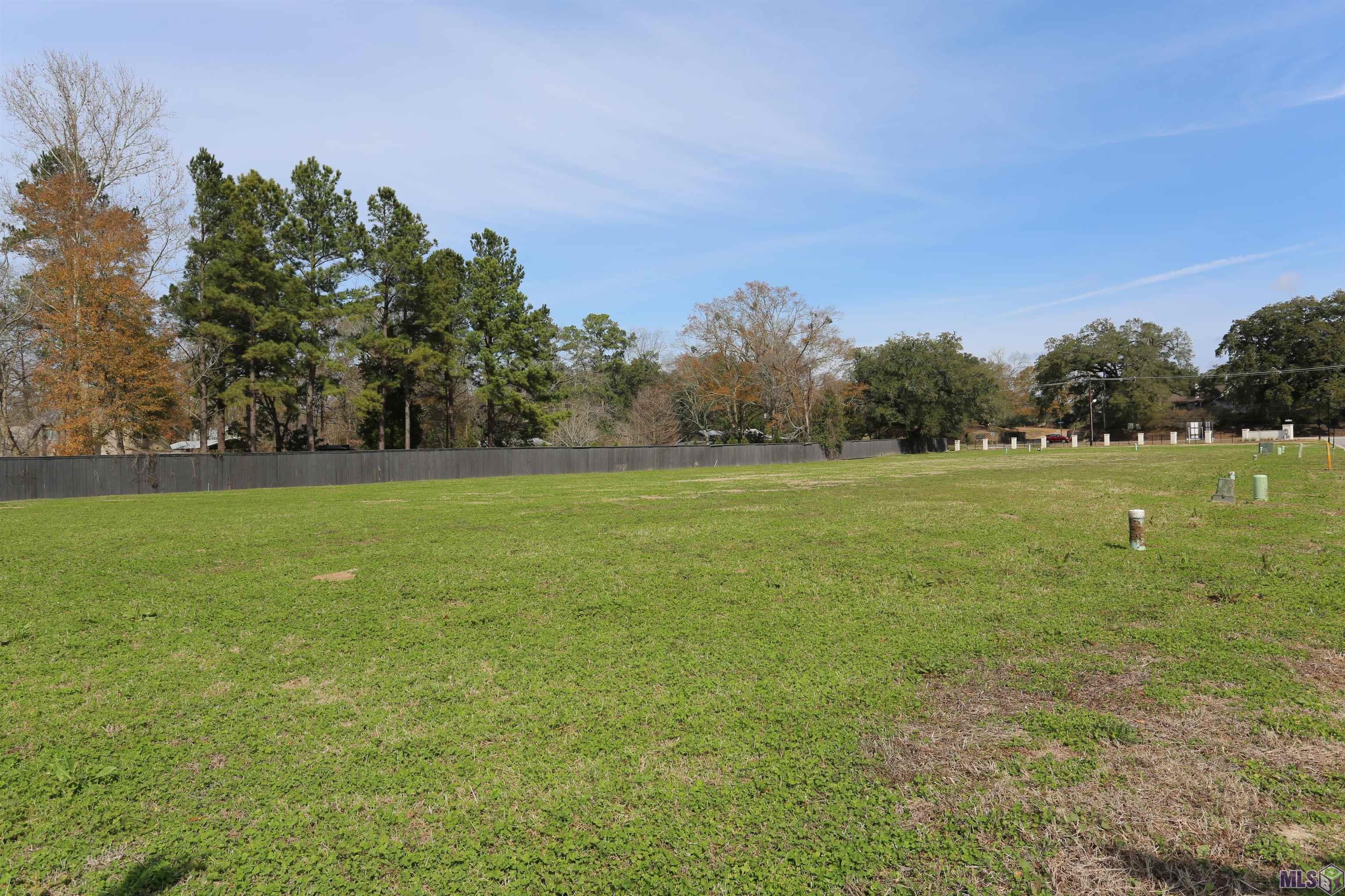 160 Dutch Manor Drive Baton Rouge, LA 70810 - Photo 8 of 10