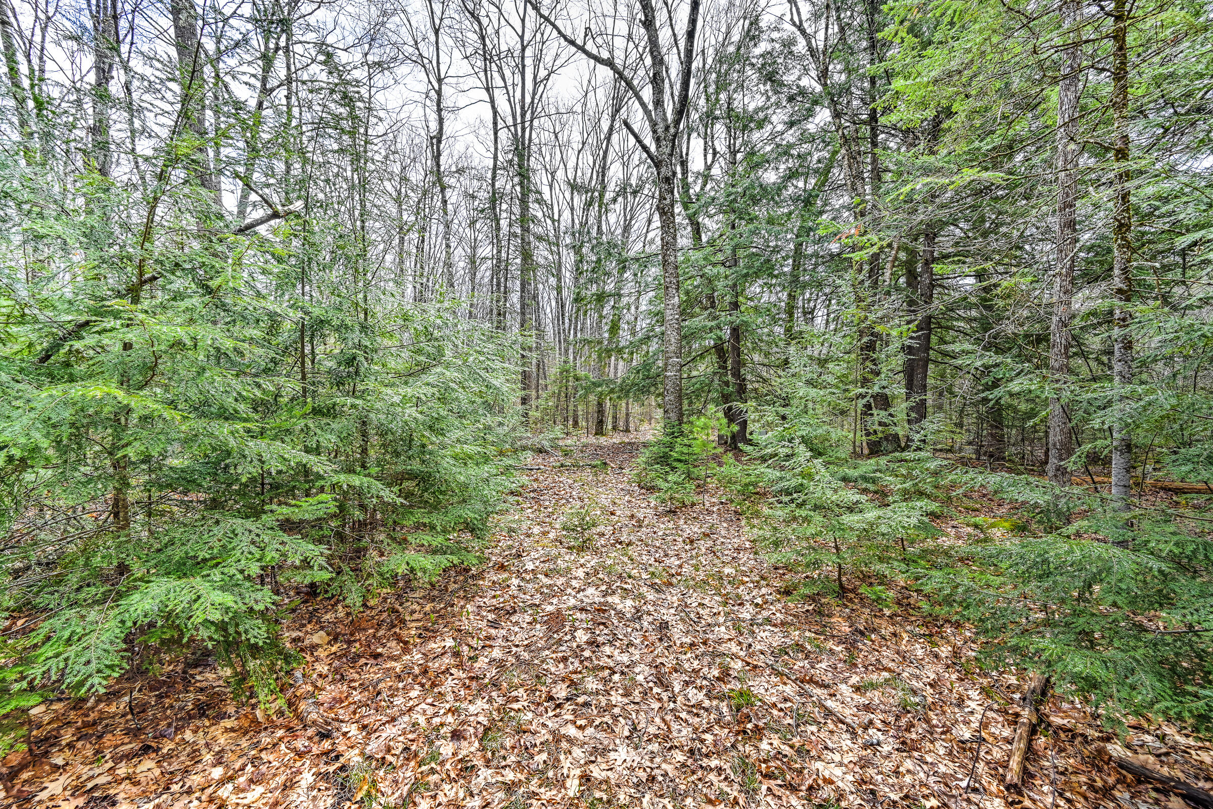 Tbd Tbd Chipmunk Lane Hartland, ME 04943 - Photo 24 of 29 109515gr-109
