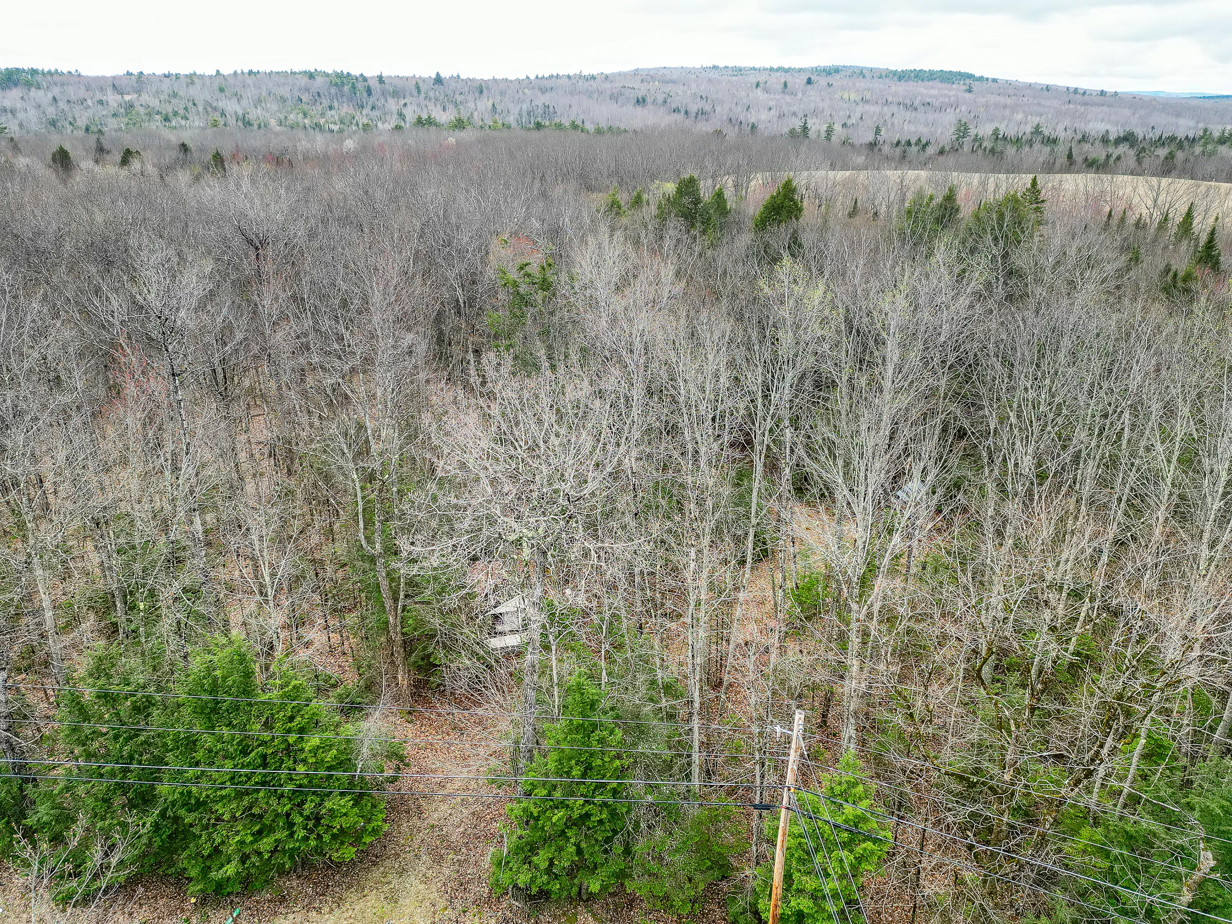 Tbd Tbd Chipmunk Lane Hartland, ME 04943 - Photo 5 of 29 109515ae-104