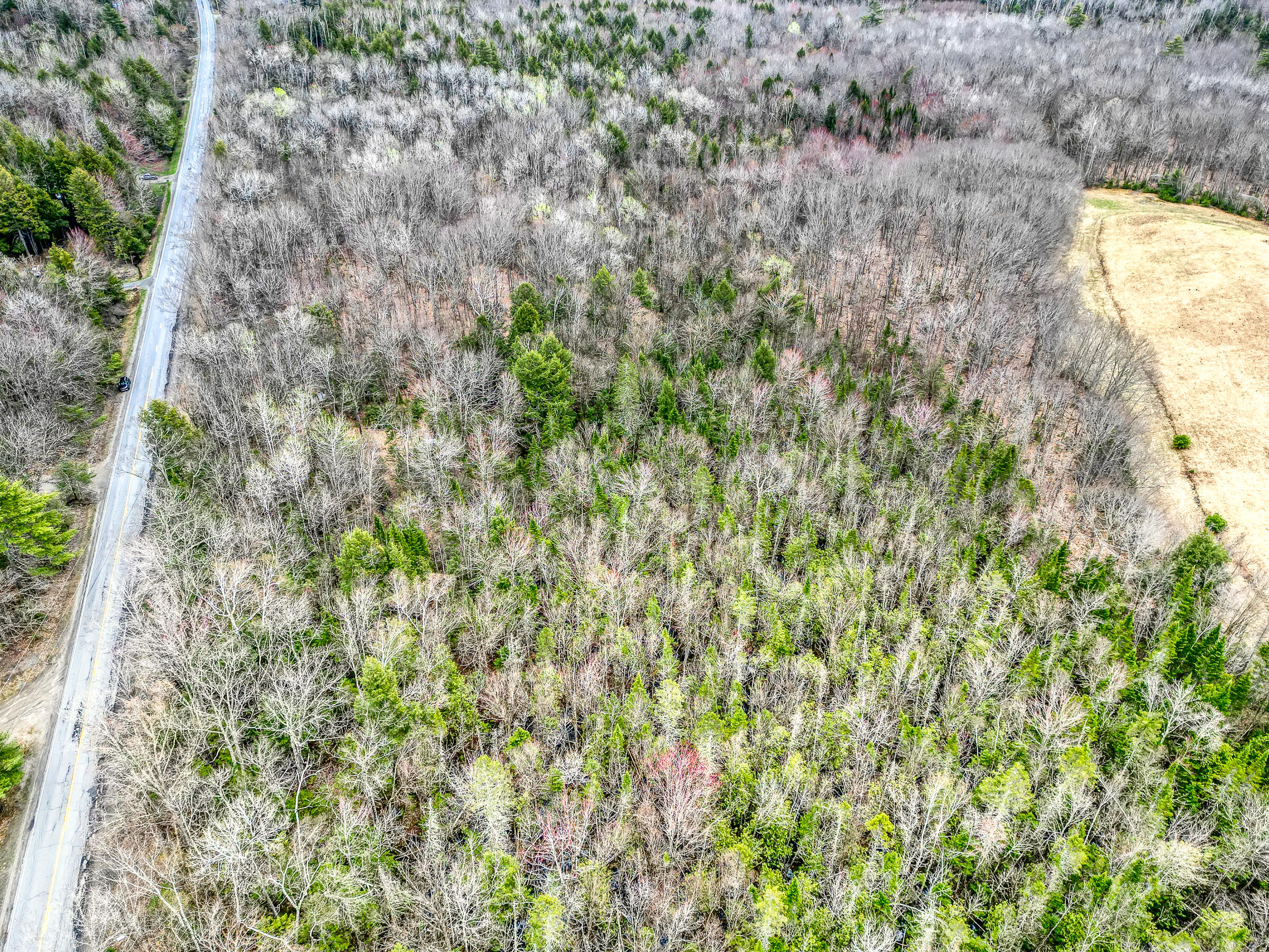 Tbd Tbd Chipmunk Lane Hartland, ME 04943 - Photo 10 of 29 109515ae-109