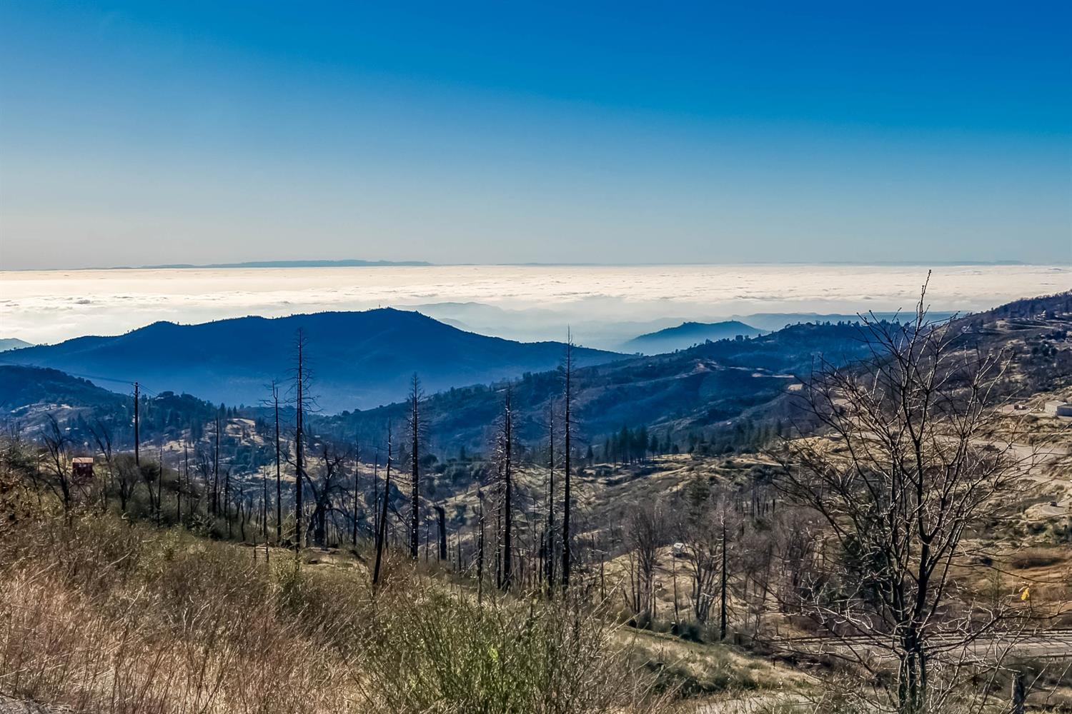 36324 Pine Ridge Lane Shaver Lake, CA 93664 - Photo 6 of 7 a view of a sky from a city