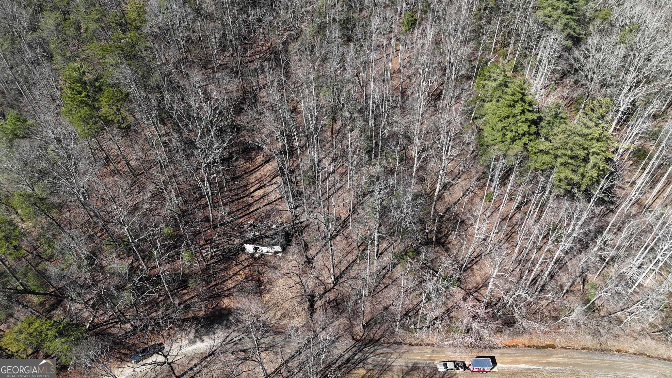 3561 Goshen Creek Road Clarkesville, GA 30523 - Photo 5 of 12