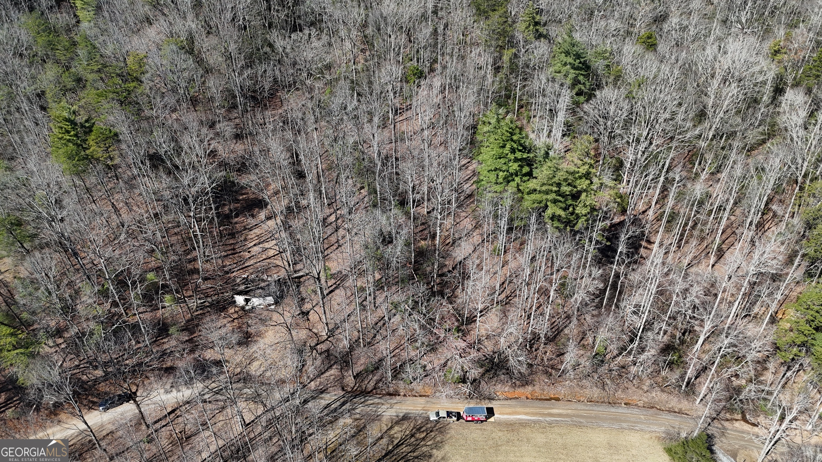 3561 Goshen Creek Road Clarkesville, GA 30523 - Photo 6 of 12