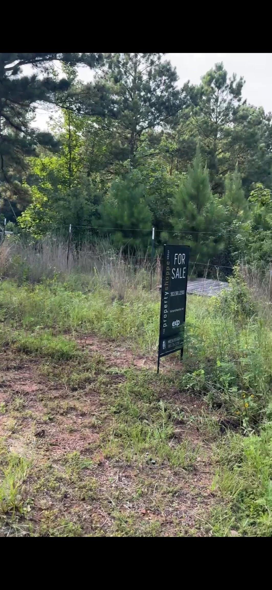 2501 Katherine Street Marshall, TX 75670 - Photo 4 of 5