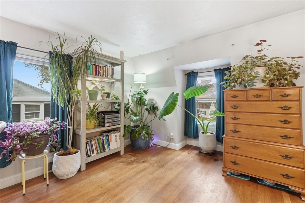 32 Pennsylvania Avenue Springfield, MA 01118 - Photo 23 of 41 a living room with furniture and a potted plant