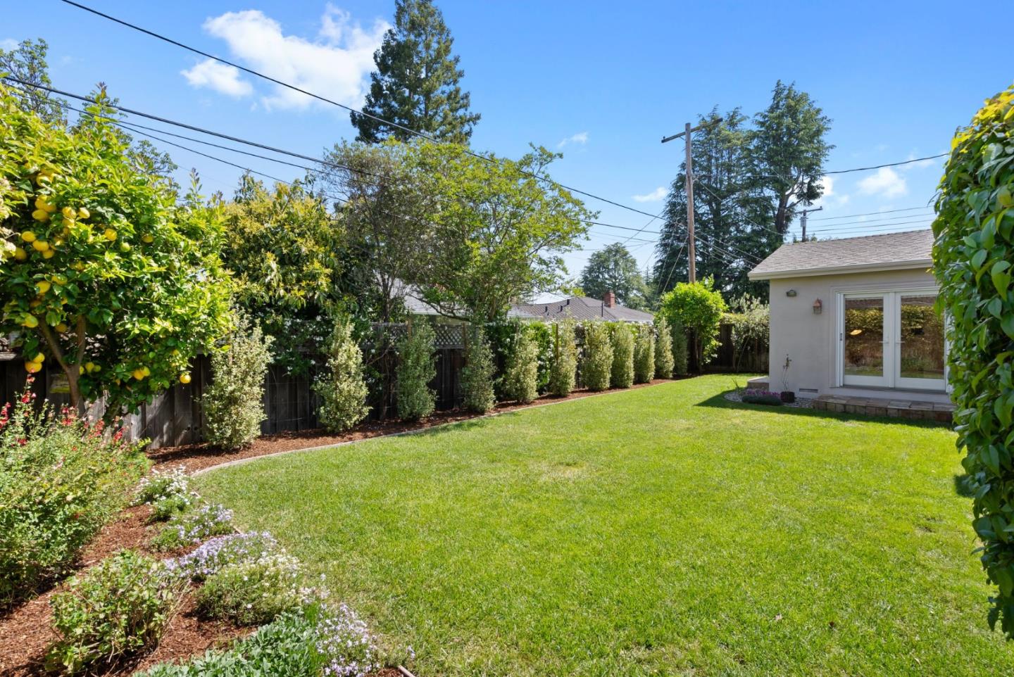 1030 Ashley Place Mountain View, CA 94040 - Photo 28 of 32 a view of a backyard with plants and large trees