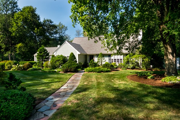 a view of a house with a big yard plants and large trees