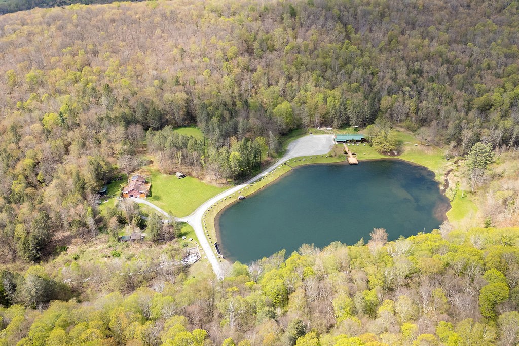 333 Rainbow Lodge Road Tompkins, NY 13856 - Photo 7 of 50