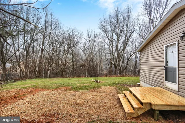 a view of a backyard with trees