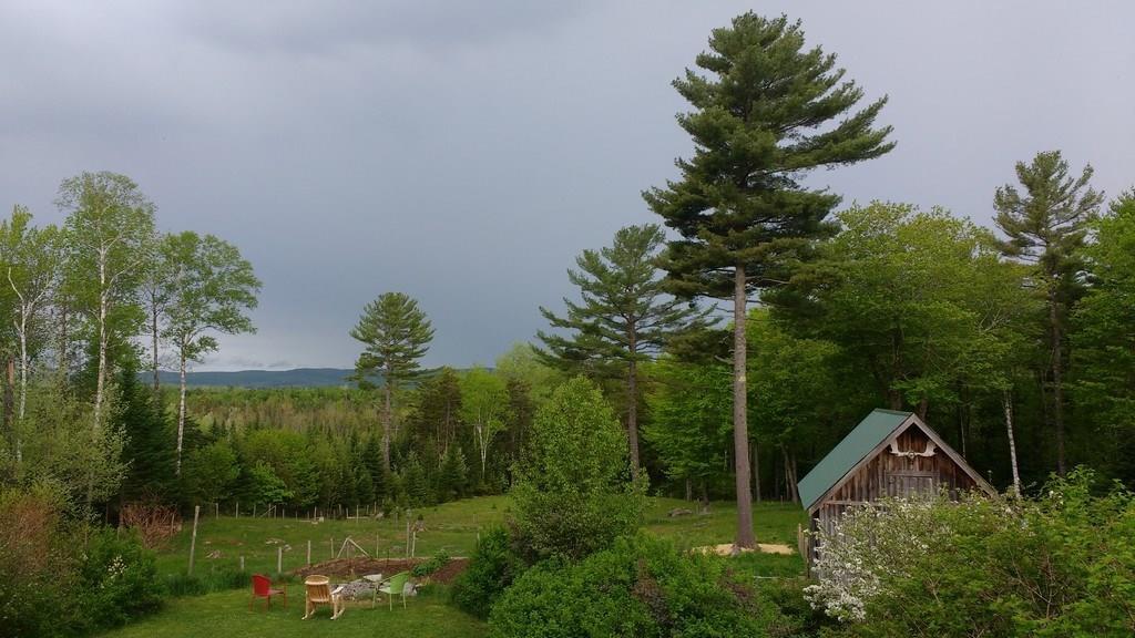 912 Great Pond Road Aurora, ME 04408 - Photo 13 of 21 Photo