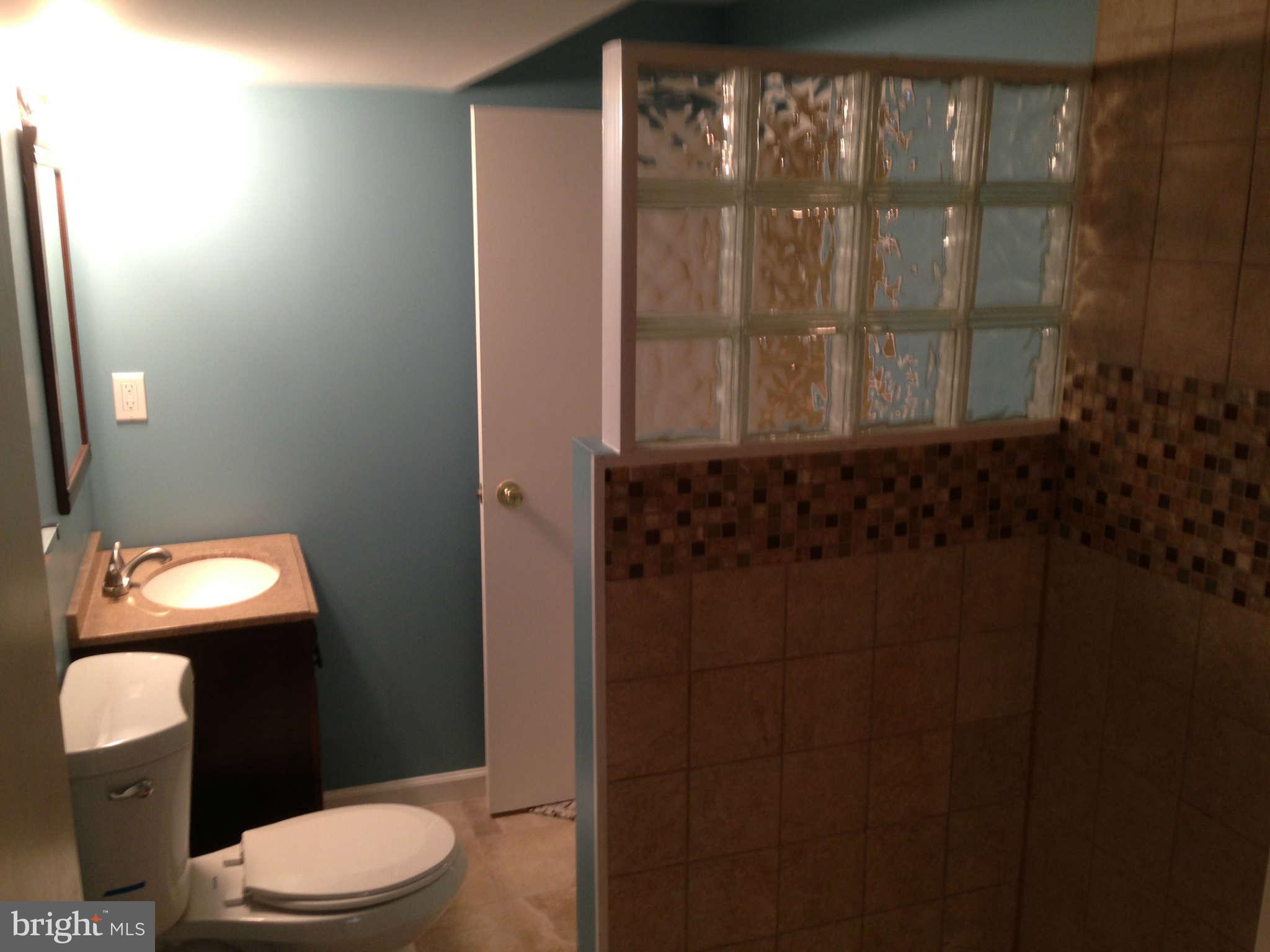 8253 Brattle Road Baltimore, MD 21208 - Photo 22 of 30 Full Bath