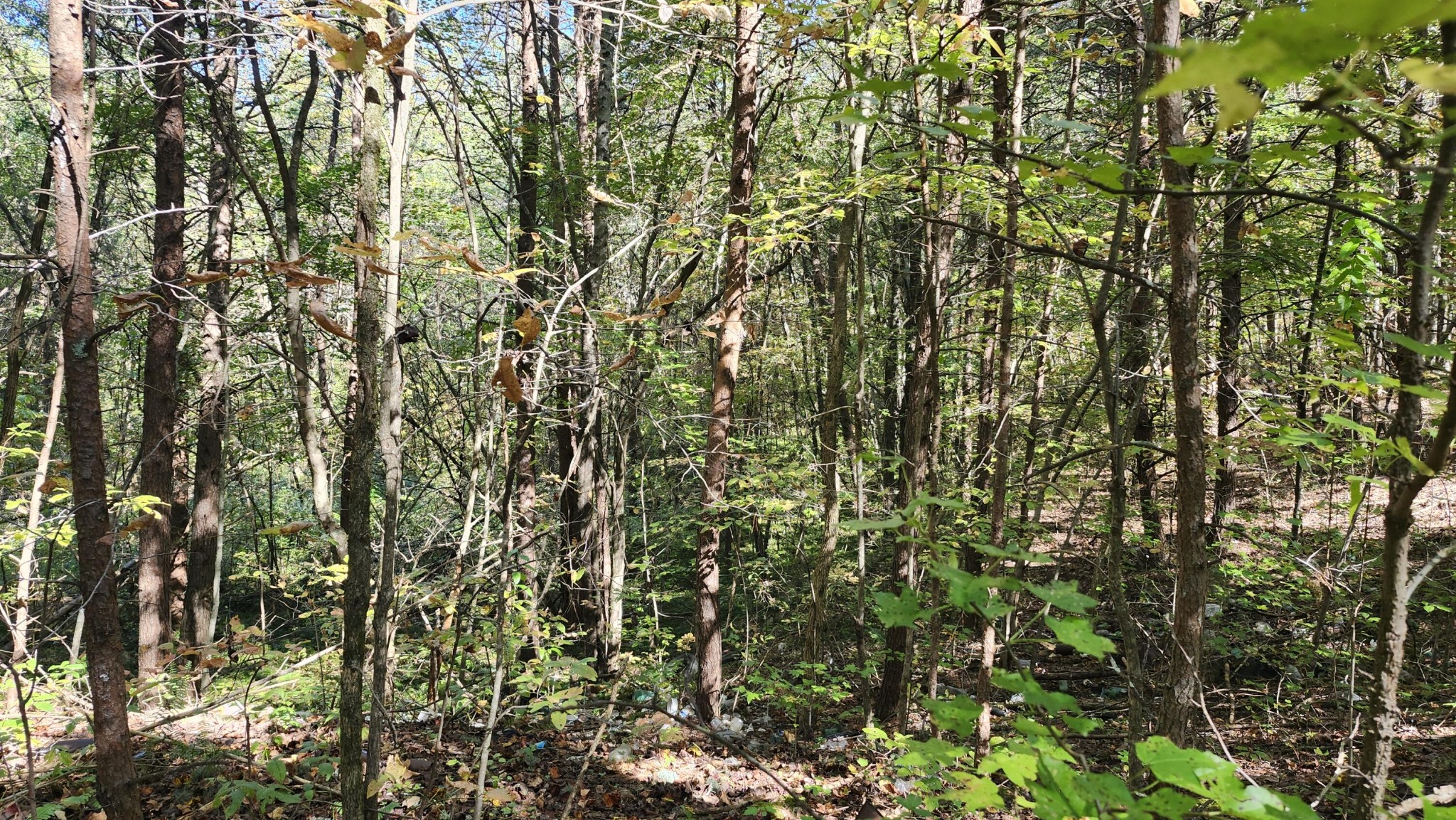 0 Tipple Road Tracy City, TN 37387 - Photo 11 of 15