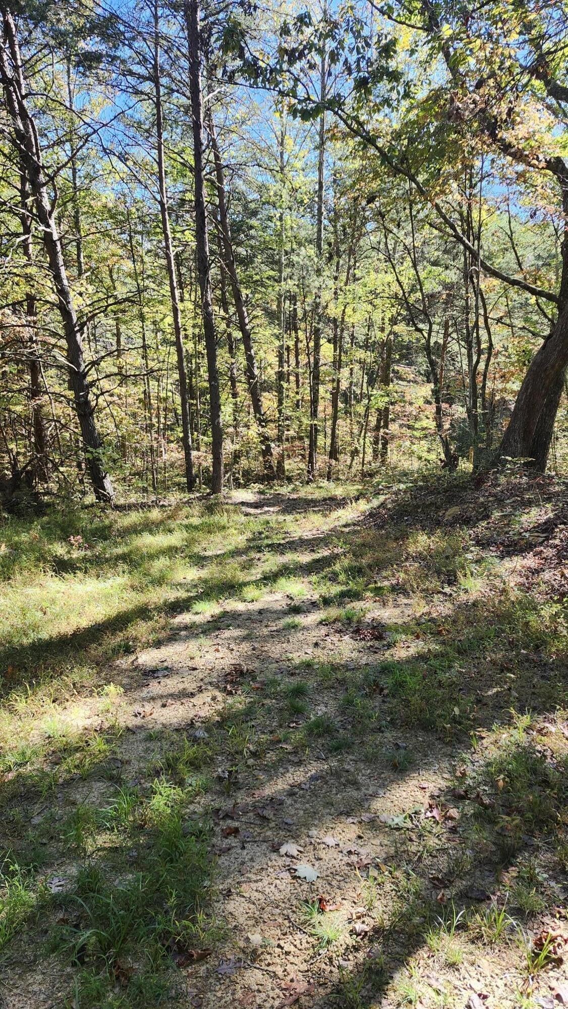 0 Tipple Road Tracy City, TN 37387 - Photo 13 of 15 a view of beach