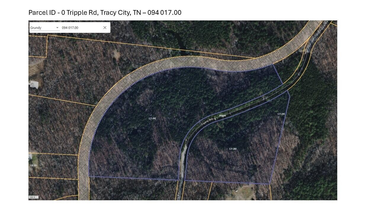 0 Tipple Road Tracy City, TN 37387 - Photo 15 of 15