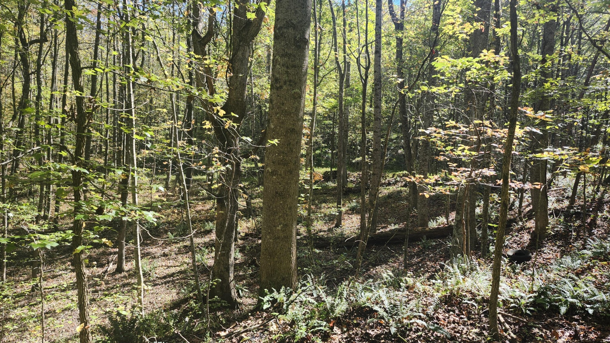 0 Tipple Road Tracy City, TN 37387 - Photo 2 of 15