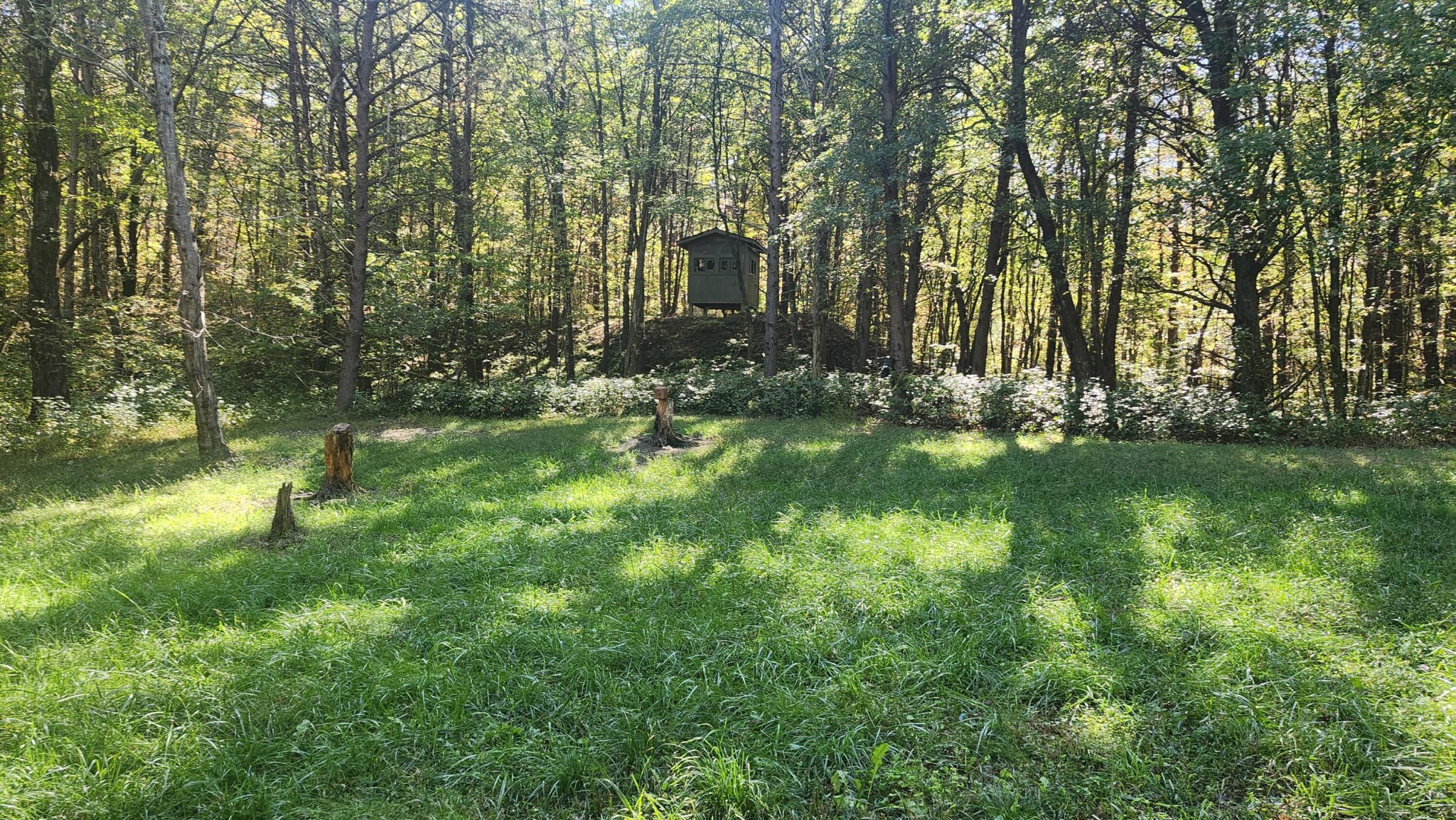 0 Tipple Road Tracy City, TN 37387 - Photo 6 of 15 a view of a lush green space