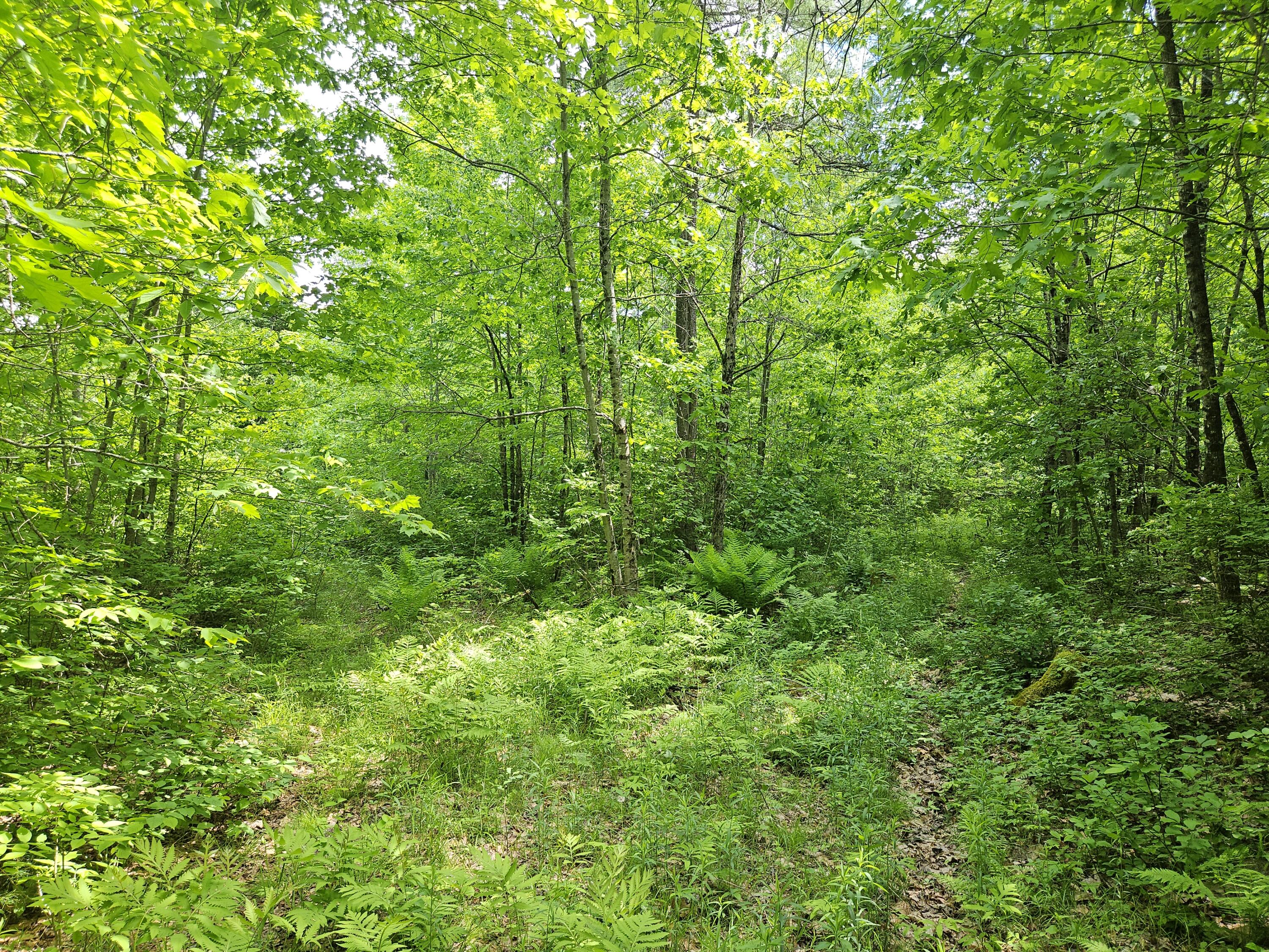 U08-003 Dutch Gap Road Chesterville, ME 04938 - Photo 19 of 21 20240531_122948