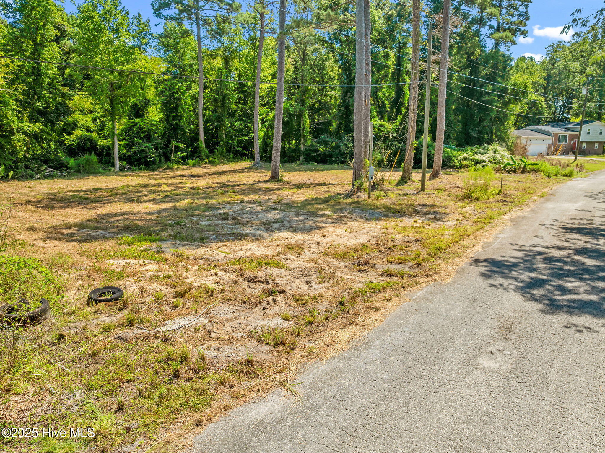 126 Jupiter Trail Jacksonville, NC 28546 - Photo 4 of 16 3-web-or-mls-01-2