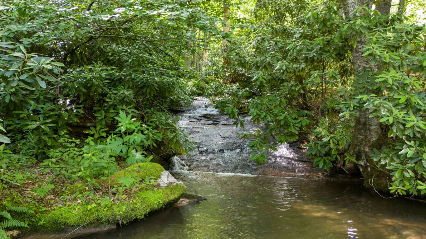 293 Gem Creek Road Cullowhee, NC 28723 - Photo 2 of 48 Gallery Image 2